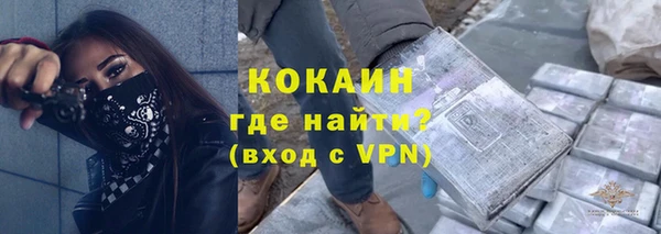 винт Нея