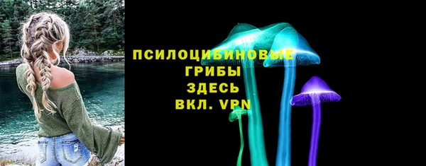 дмт Абаза