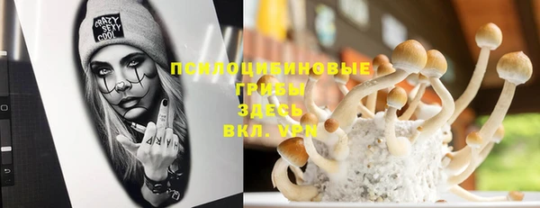 PSILOCYBIN Нефтегорск