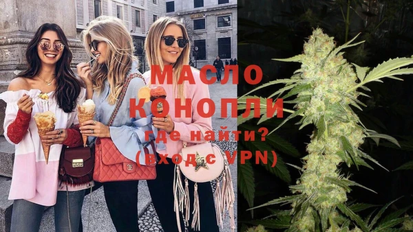 дмт Абаза