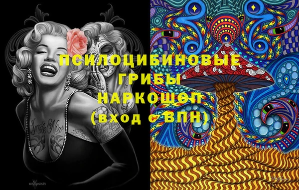 дмт Абаза